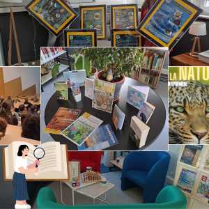 lien vers le site deCl'IREM